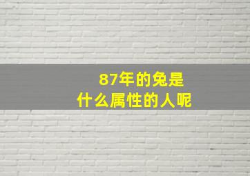 87年的兔是什么属性的人呢