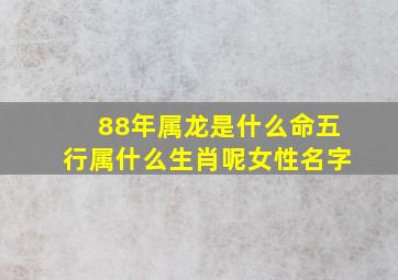 88年属龙是什么命五行属什么生肖呢女性名字