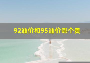 92油价和95油价哪个贵