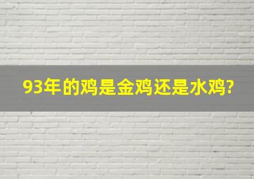 93年的鸡是金鸡还是水鸡?