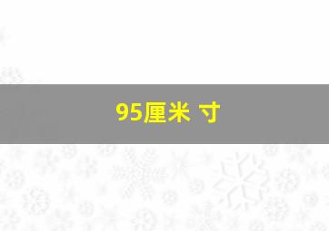 95厘米 寸