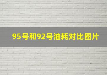 95号和92号油耗对比图片