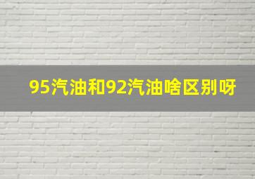 95汽油和92汽油啥区别呀