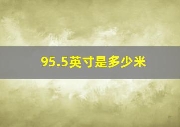 95.5英寸是多少米