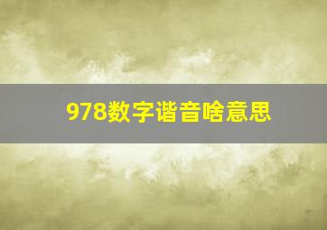 978数字谐音啥意思