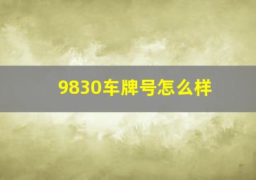 9830车牌号怎么样