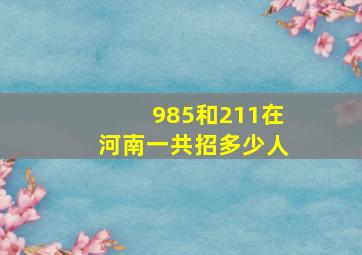 985和211在河南一共招多少人