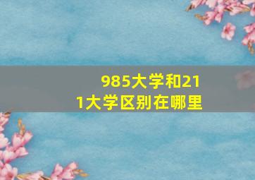 985大学和211大学区别在哪里