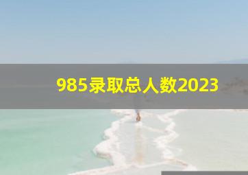 985录取总人数2023