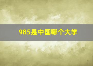 985是中国哪个大学