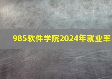 985软件学院2024年就业率