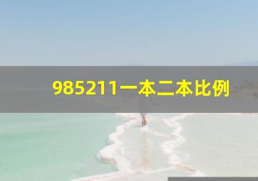 985211一本二本比例