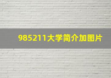 985211大学简介加图片