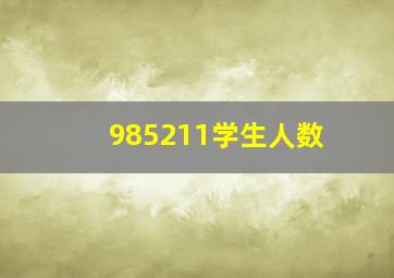 985211学生人数