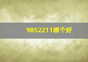 9852211哪个好