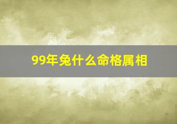 99年兔什么命格属相