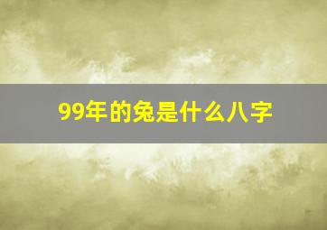 99年的兔是什么八字