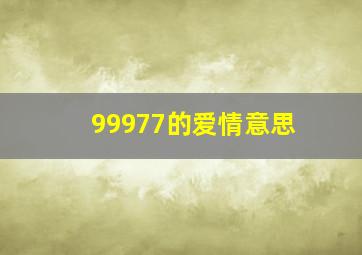 99977的爱情意思