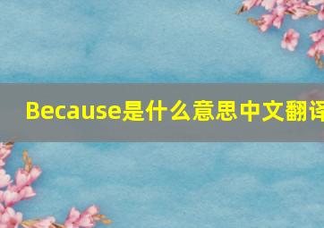 Because是什么意思中文翻译