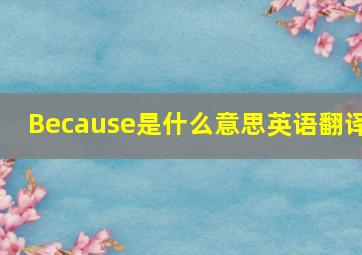 Because是什么意思英语翻译