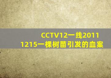 CCTV12一线20111215一棵树苗引发的血案