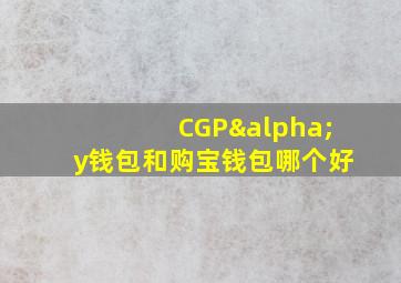 CGPαy钱包和购宝钱包哪个好