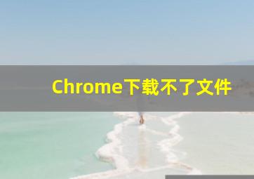 Chrome下载不了文件