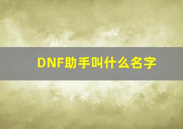 DNF助手叫什么名字