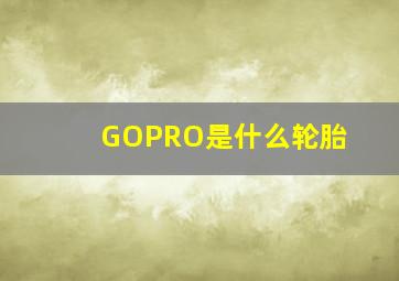 GOPRO是什么轮胎