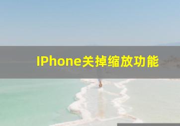 IPhone关掉缩放功能