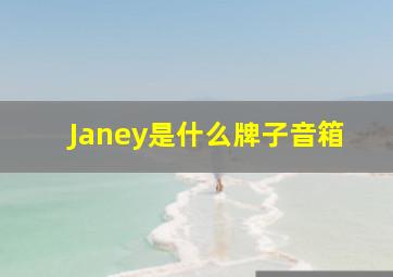 Janey是什么牌子音箱