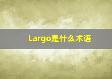 Largo是什么术语