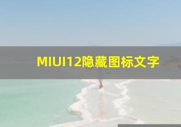 MIUI12隐藏图标文字