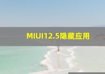 MIUI12.5隐藏应用