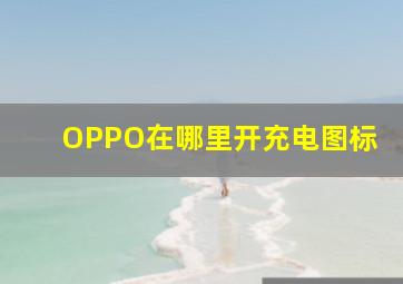 OPPO在哪里开充电图标