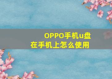 OPPO手机u盘在手机上怎么使用