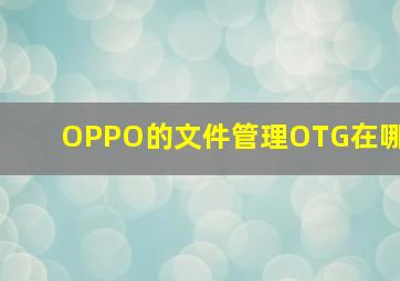 OPPO的文件管理OTG在哪