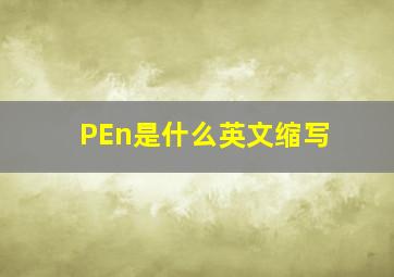 PEn是什么英文缩写