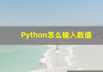 Python怎么输入数值