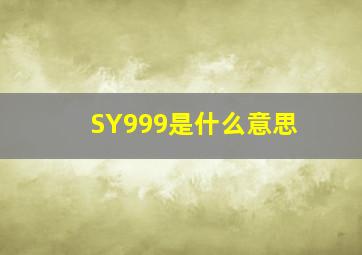 SY999是什么意思