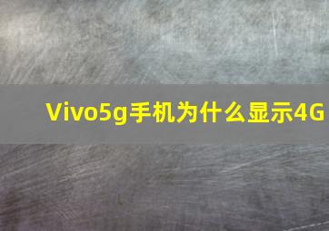 Vivo5g手机为什么显示4G