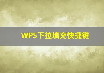 WPS下拉填充快捷键