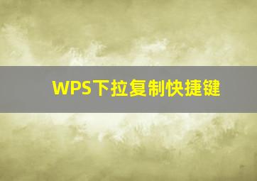 WPS下拉复制快捷键