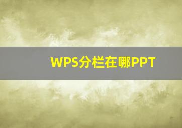 WPS分栏在哪PPT