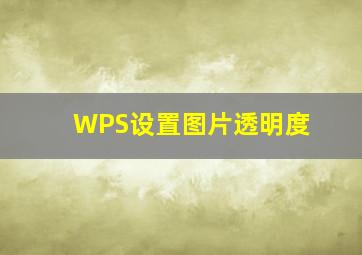 WPS设置图片透明度