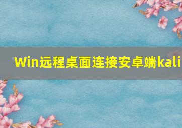 Win远程桌面连接安卓端kali