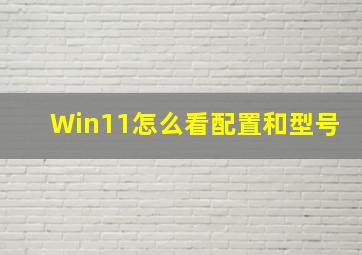 Win11怎么看配置和型号