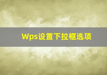 Wps设置下拉框选项