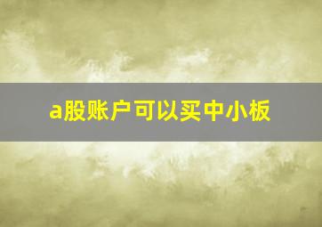 a股账户可以买中小板