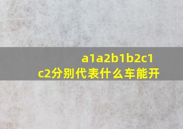 a1a2b1b2c1c2分别代表什么车能开